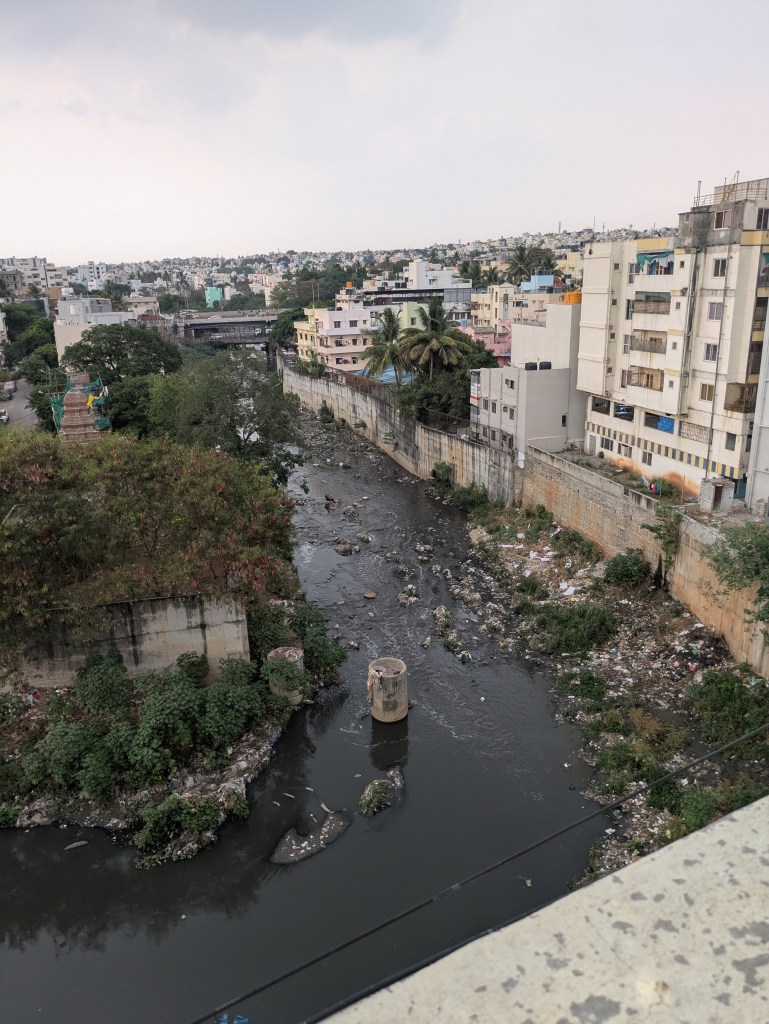 Vrishabhavathi River